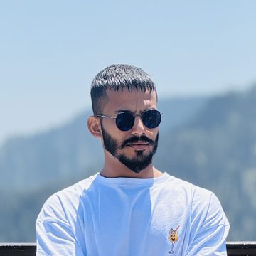 Ali Hasnain